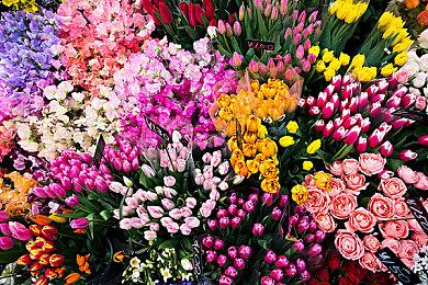 回合策略新作《避风港》发布试玩版 实机演示公开